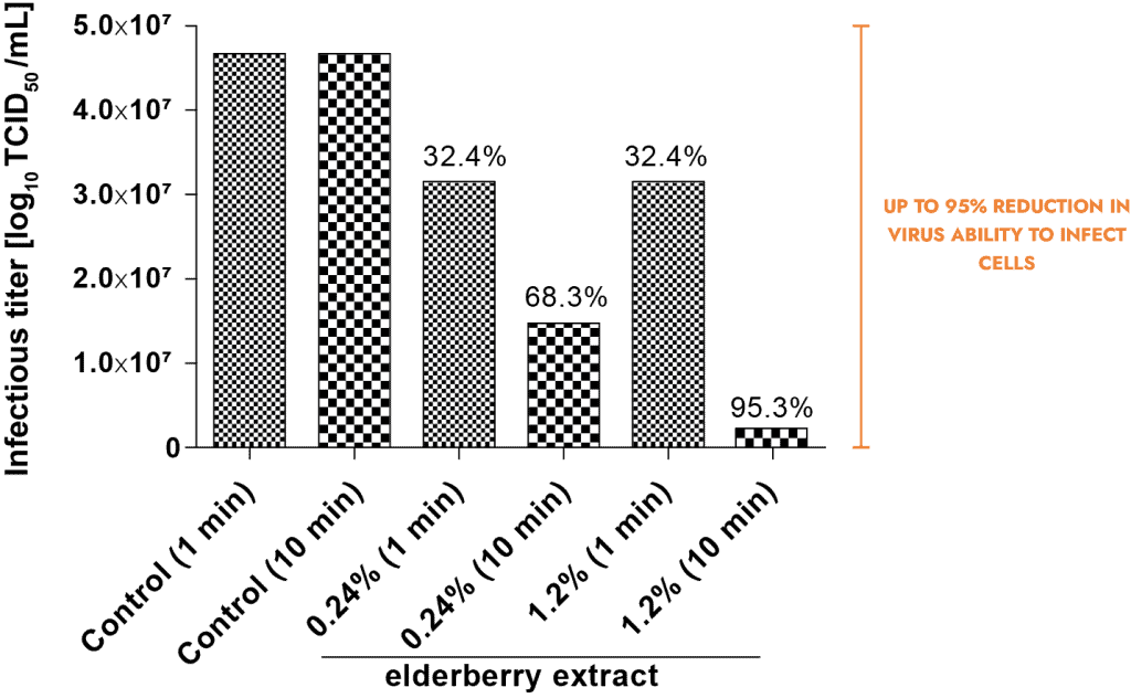 Elderberry fruit — scientifically recognised to treat colds