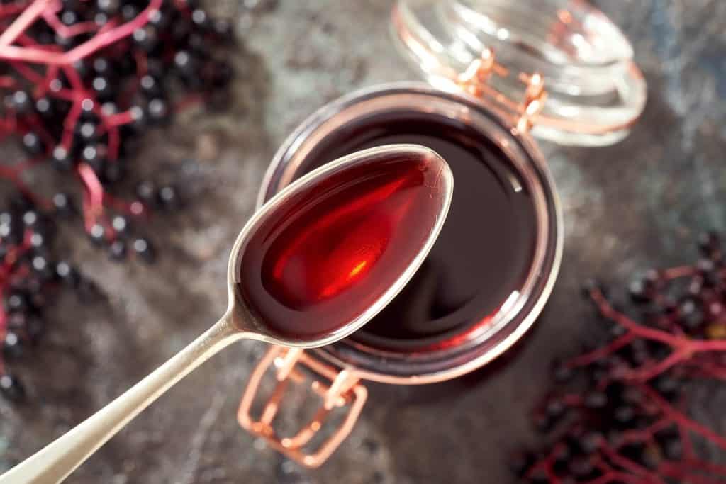 Elderberry fruit scientifically recognised to treat colds — featured image