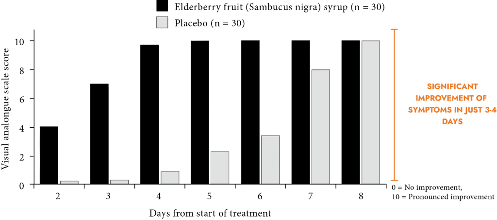 Elderberry immune support benefits