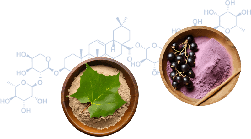 Hedervy cough and cold relief — about our products