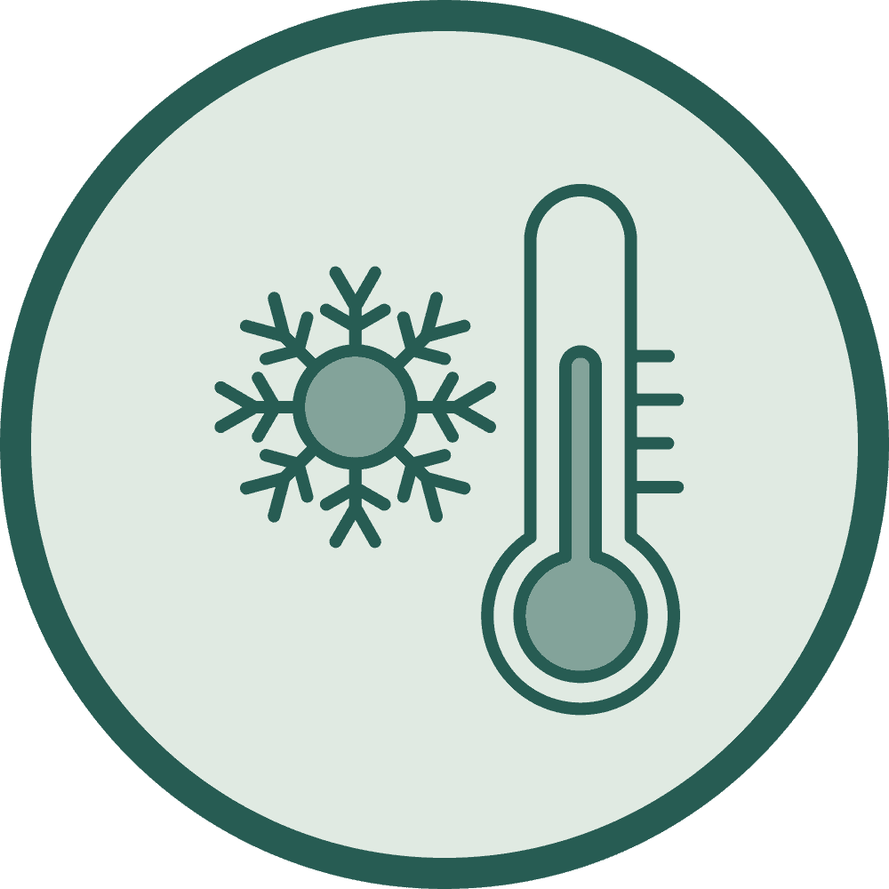 Hedervy Menthol — cooling and fresh taste
