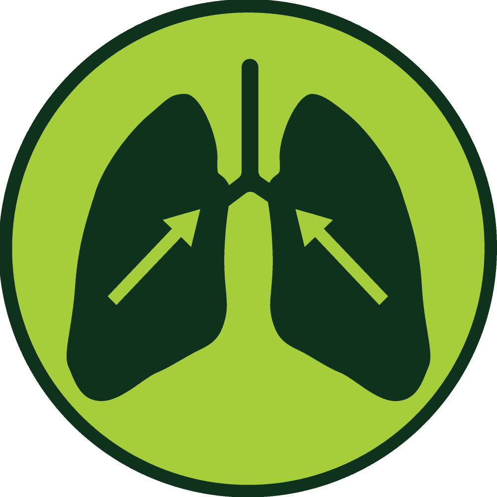 Hedervy Original — reduces phlegm